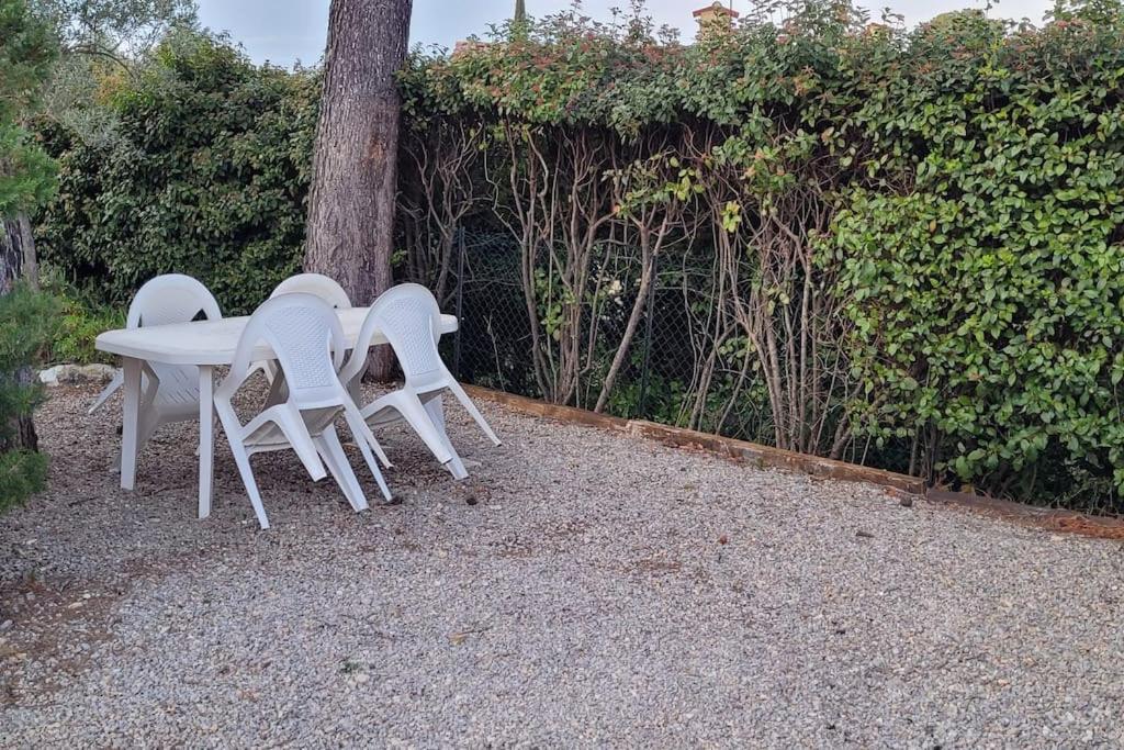 Appartement Dans Une Villa Au Coeur De La Provence Trans-en-Provence Exterior foto